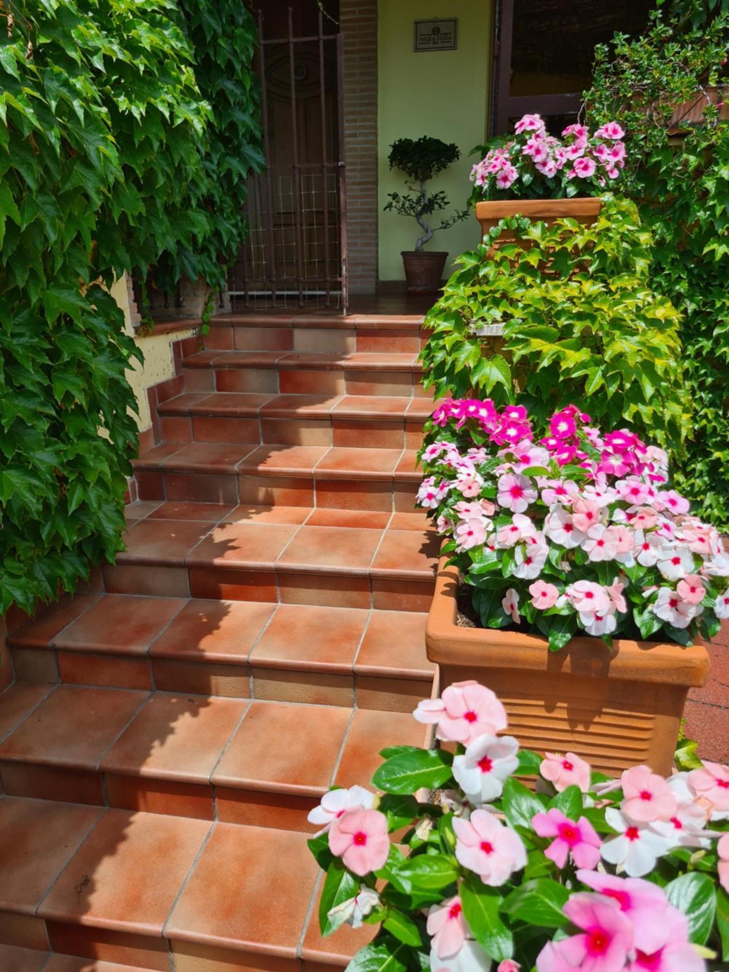 Villa Olga B&B Formia Zewnętrze zdjęcie