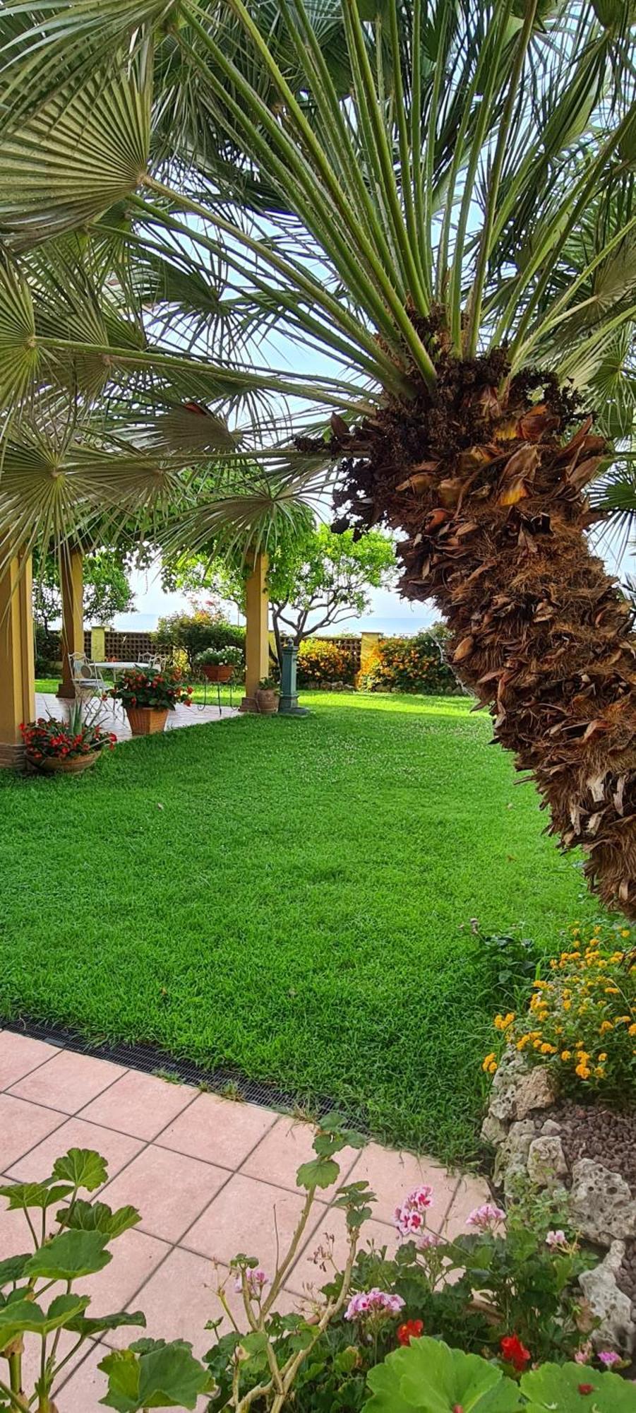 Villa Olga B&B Formia Zewnętrze zdjęcie