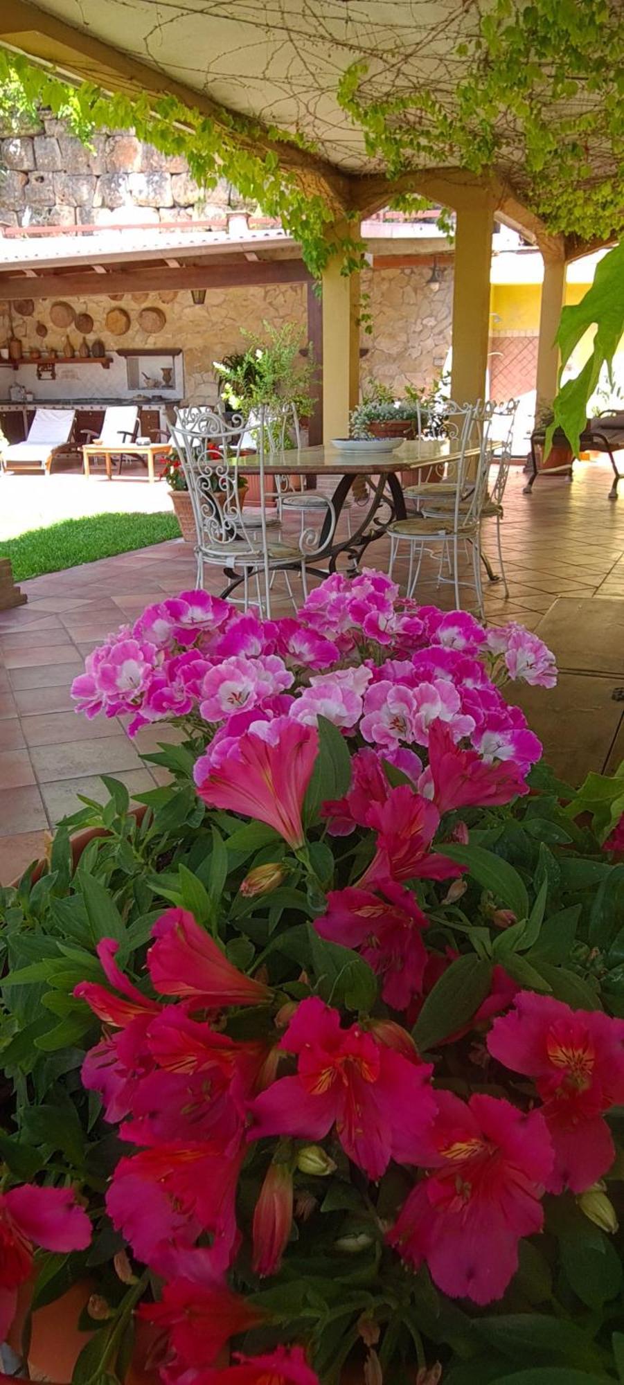 Villa Olga B&B Formia Zewnętrze zdjęcie